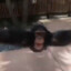 Hugh Hefner