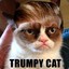 TrumpyCat