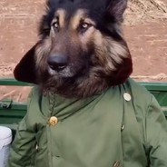 沙漠之嘤（StatTrack™)