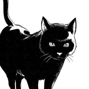 lyxa's avatar