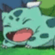 瞄人瞄不准的妙蛙种子