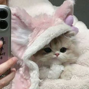 beee