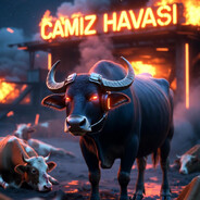 Camız Havası Steam avatar