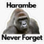 Justice for Harambe