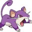 Rattata