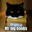 Mr. Big Boobs