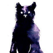 Ink Bear avatar