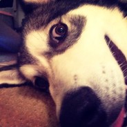 诶呀！西瓜皮~真香！