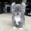 ♥UliK♥PEEK
