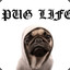 ✪ PUGLIFE CSGOWitch.com