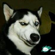 神呀，救救我吧