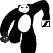 5E投票盗号骗局--在线偷