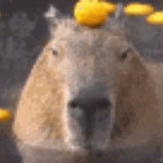 Capivara