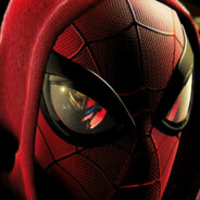 🕷SPIDERMAN