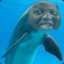 A Suhphin