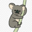 koala4@pvpro.com