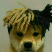 西伯利亚野猪KBT