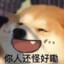 然而我才是王子