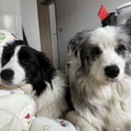 30岁离异纯情少妇