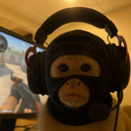 notGHB - steam id 76561199784474507