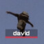 david