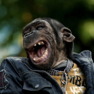 Депутат Санчо