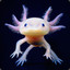 Mr Axolotl