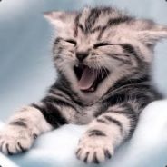 Epoc - steam id 76561197965066885