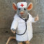 Doktor Rat