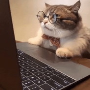 Singlestone - steam id 76561197971045760