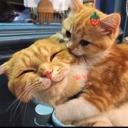 老年人年老有为