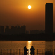 肉肉小荣子的dad