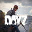 DayZ Enjoyer