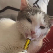 Milo