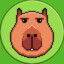 Capibara Games