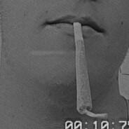 normala brate snimiću