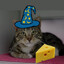 Dave the magical cheese wizard