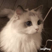 弗狸蜀黍不吃小朋友