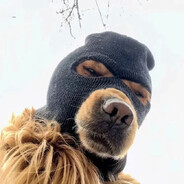 simon - steam id 76561199223934702