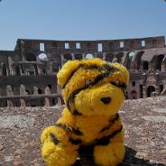 WuNTy - steam id 76561197971733033