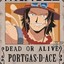 PORTGAS .D. ACE