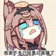 piyrwouteq9 avatar