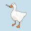 Goose