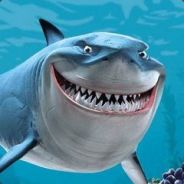 东海鱼王