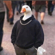 Goose