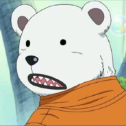 暴躁小白熊
