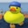 ZeDucky