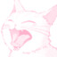 MoonPi
