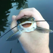 [szeli] S U M I K *******