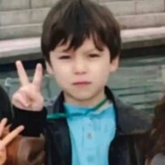 人淡如菊的花蝴蝶